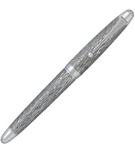Amazon | PILOT 万年筆 マンネンヒツ シルバーン イシダタミ M